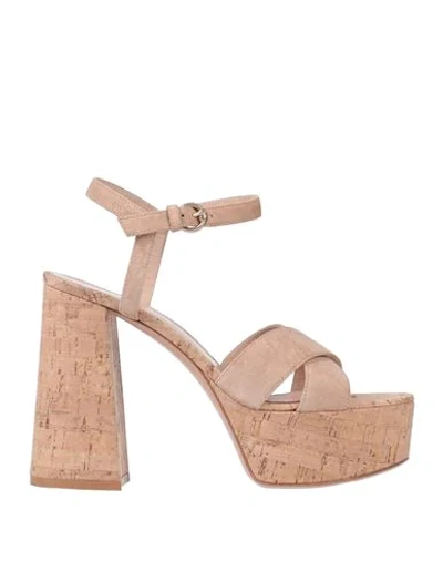 Gianvito Rossi Sandals In Beige