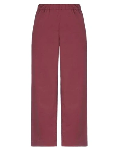 Ql2  Quelledue Pants In Brick Red
