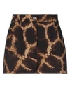 Dolce & Gabbana Shorts & Bermuda Shorts In Dark Brown