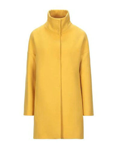 Guttha Overcoats In Yellow