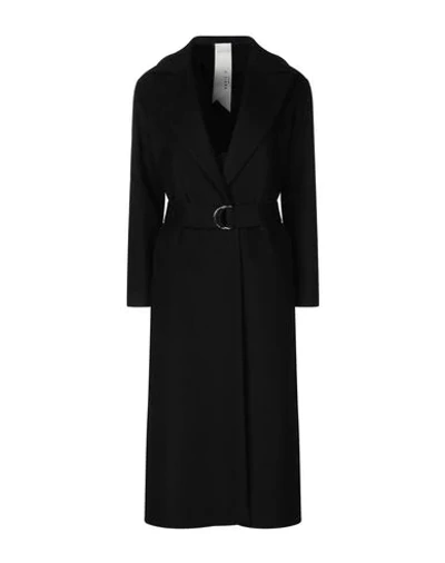 Annie P Coat