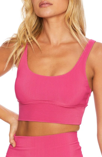 Beach Riot Leah Rib Knit Crop Top In Pink