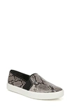 VINCE BLAIR 5 SLIP-ON SNEAKER,748149194647