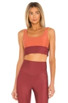 The Upside Murty Daisy Color-block Sprots Bra In Maroon