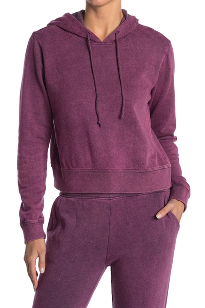 Threads 4 Thought Rose Mineral Wash Crop Hoodie In Egp