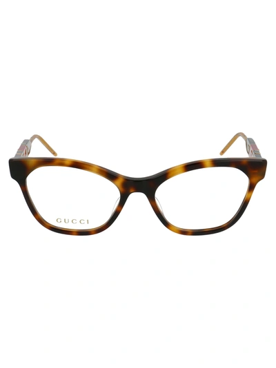 Gucci Gg0600o Glasses In 003 Havana Havana Transparent