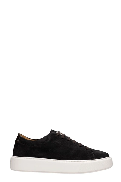 Low Brand Shelby Trainers In Black Suede