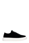 LOW BRAND SHELBY trainers IN BLACK SUEDE,11635954
