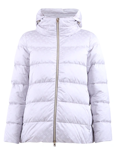 Herno Padded Jacket In White