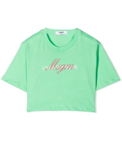 Msgm Kids' Logo Print Cropped T-shirt In Menta