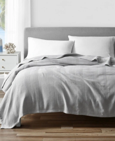 Nautica Chevron Grey Blanket In Gray
