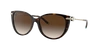 Tiffany & Co . Woman Sunglasses Tf4178f In Brown Gradient