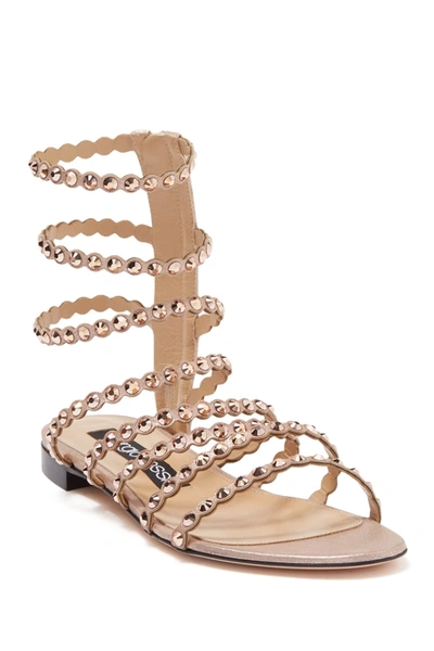 Sergio Rossi Rhinestone Gladiator Sandal In Cipria