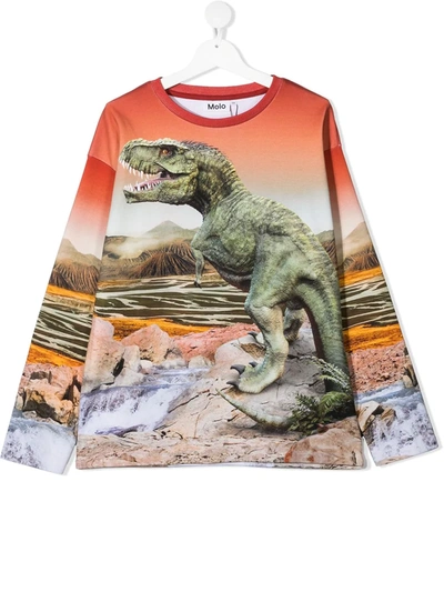 Molo Teen Dinosaur-print Sweatshirt In Red