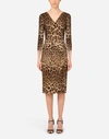 Dolce & Gabbana Leopard-print Cady Midi Dress In Multicolor