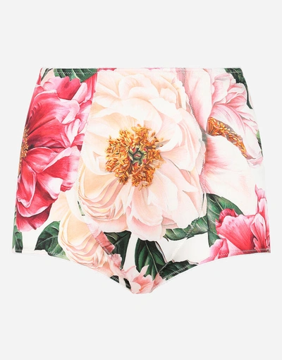 Dolce & Gabbana Satin High-waisted Panties With Camellia Print In Multicolor
