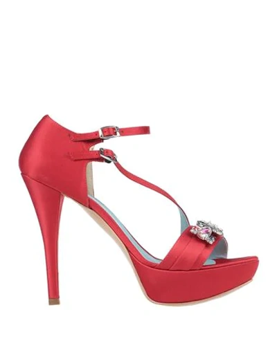 Blue & Rose Sandals In Red