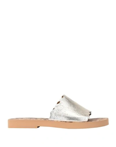See By Chloé Sandals In Grey