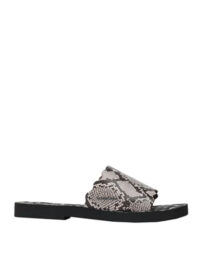 See By Chloé Sandals In Black