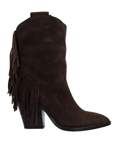 Ash Ankle Boots In Brown