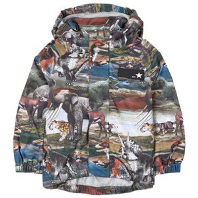 Molo Kids' Animal-print Hooded Jacket In Green