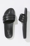 Seychelles Low Key Slide Sandal In Black
