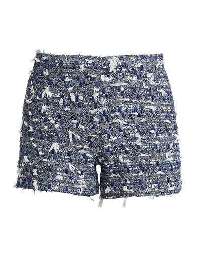 Frederick Anderson Tweed Shorts In Royal Blue White