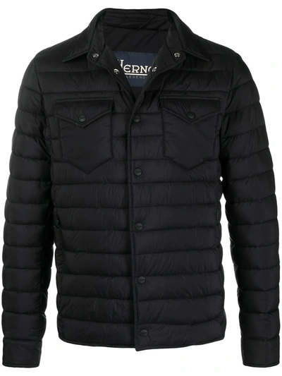 Herno Collared Padded Jacket In Black