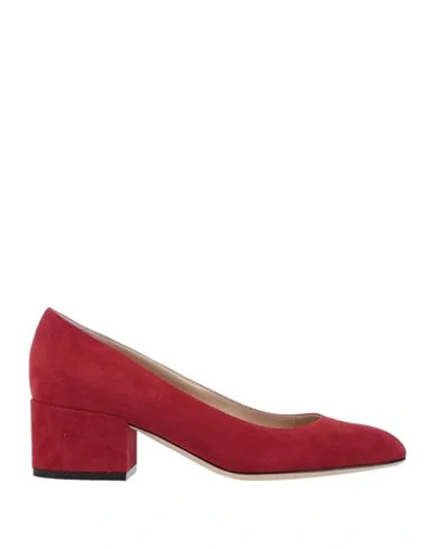 Sergio Rossi Pumps In Red