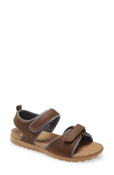 Acorn Grafton Sandal In Walnut Brown Leather