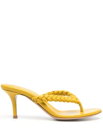 Gianvito Rossi Tropea Braided Leather Thong Sandals In Gelb