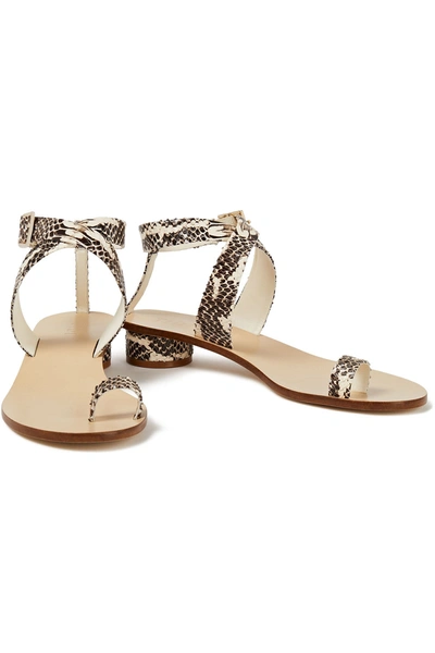 Tibi Snake-effect Leather Sandals In Animal Print