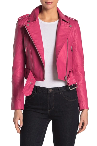 Avec Les Filles Leather Belted Cropped Biker Jacket In Hot Pink