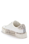 Dolce Vita York Lace-up Platform Sneaker In White Multi Canvas