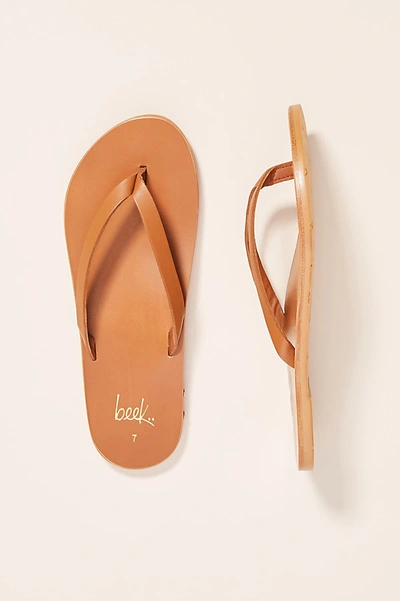 Beek Seabird Flip-flop Sandals In Yellow