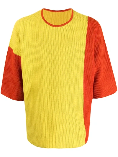 Issey Miyake Colour-block Ribbed T-shirt In Yellow