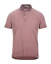 Brooksfield Polo Shirts In Brown