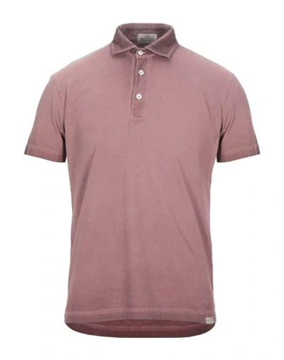 Brooksfield Polo Shirts In Brown
