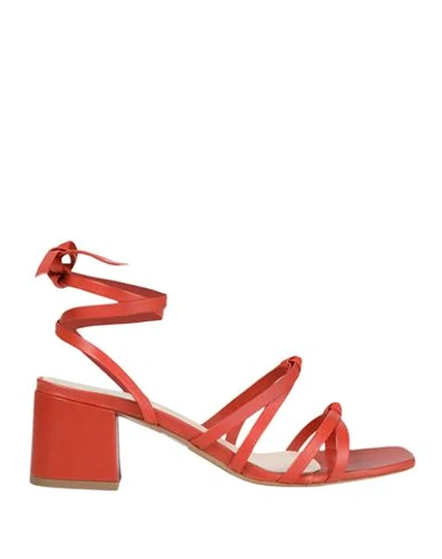 8 By Yoox Sandals In Red