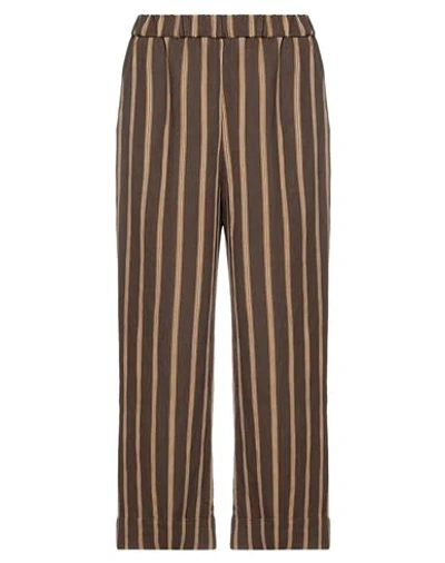 Kiltie Pants In Brown