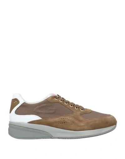 Alberto Guardiani Sneakers In Brown