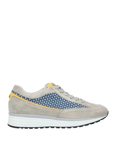 Alberto Guardiani Sneakers In Grey