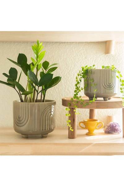 Flora Bunda Rainbow Gray Ceramic Planters Set In Olive Green