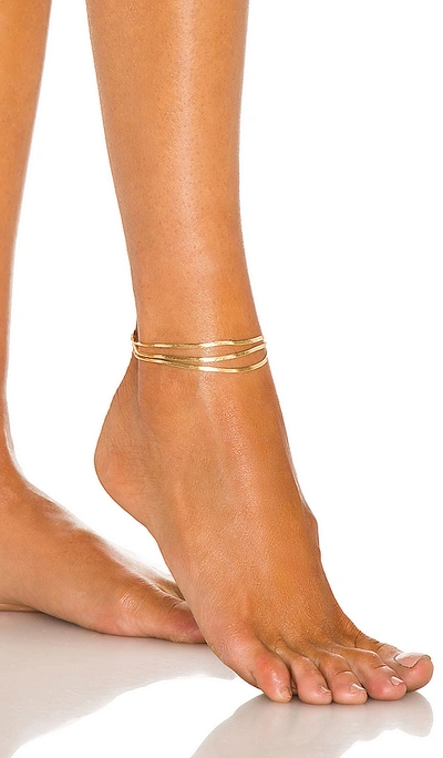 8 Other Reasons Lila Anklet In Gold