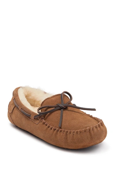 Fireside By Dearfoams Victor Genuine Shearling Moccasin In Chestnut