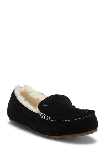 Koolaburra By Ugg Lezly Faux Shearling Lined Slipper In Black