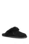 Koolaburra By Ugg Milo Genuine Shearling Scuff Slipper In Bbbck