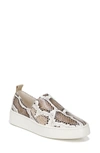 Vince Saxon2 Snake-print Leather Slip-on Sneakers In Taupe Snake