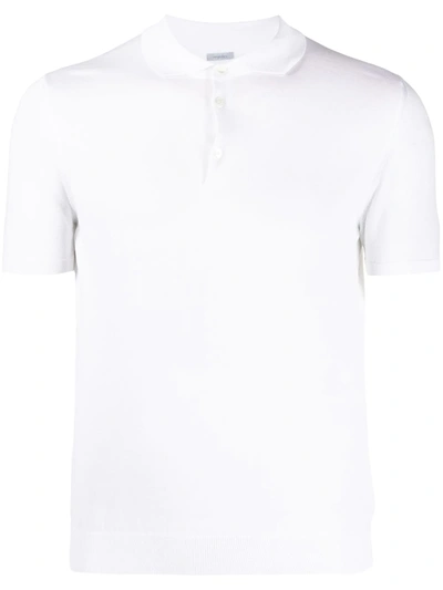 Malo Cotton Polo Shirt In White