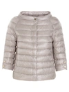 Herno Quilted Jacket In Grey